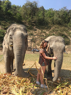 Elephant sanctuaries in Thailand