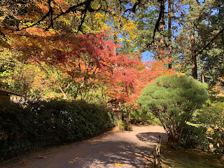 Portland Japanese Garden Fall Colors