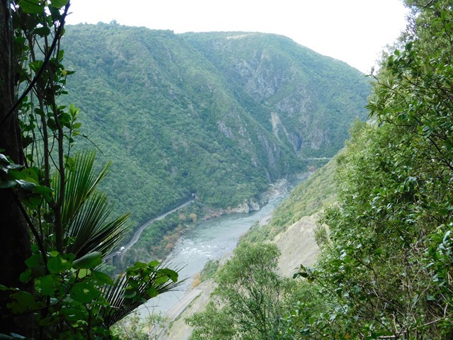 DSCN8994