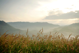 Pha-daeng dam view