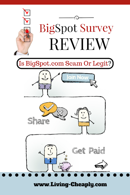 Big Spot Survey Review