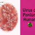 Epidemiología molecular y análisis filogenético de la infección por el virus del papiloma humano en mujeres con lesiones cervicales y cáncer en la región litoral del Ecuador