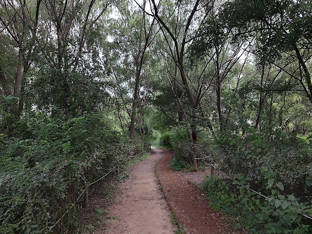 한강 암사생태공원 산책로 모습