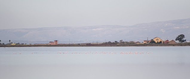 Saline di Margherita di Savoia