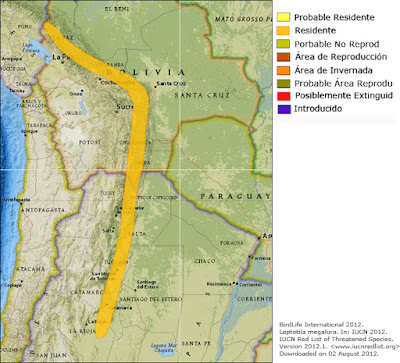 Yerutí yungueña (Leptotila megalura) mapa