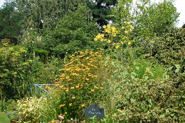 prairie au jardin en automne