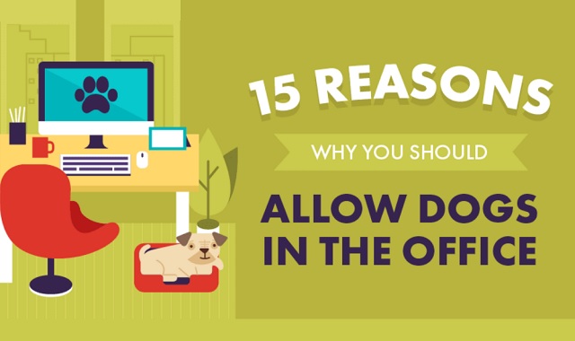 15 Reasons Why You Should Allow Dogs in the Office