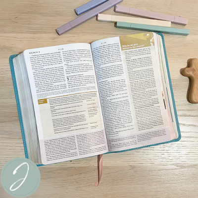Student Life Application Study Bible #NLTBible #TyndaleBibles #LifeApplicationStudyBible #BibleForStudents #SeriousStudyComesToLife