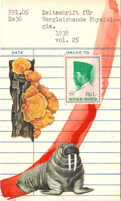 tree fungus mushroom walrus Indonesia postage stamp library due date card collage art by Justin Marquis