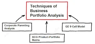 Techniques of Business Portfolio Analysis