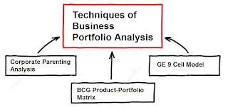 Techniques of Business Portfolio Analysis