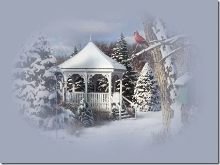 paisajes nevadors (31)