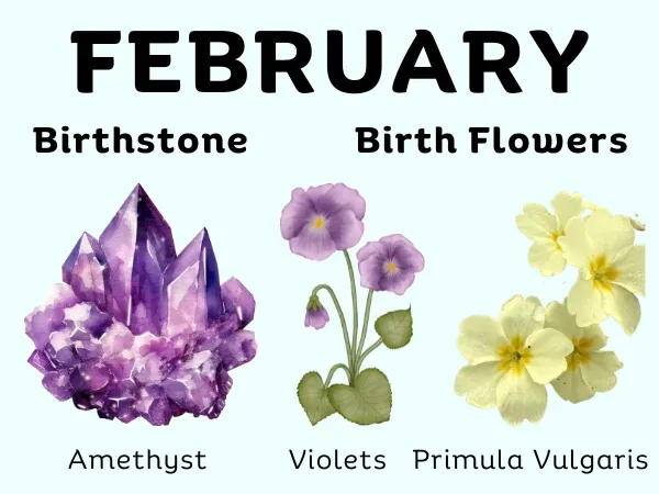 February Month Birthstone and Birth Flower