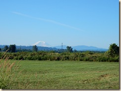 Mt. Ranier in summer