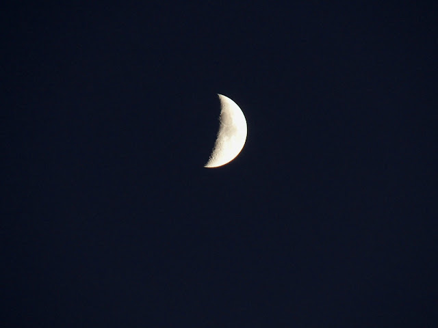 moon macro close up detailed