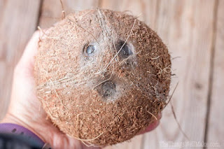 Coconut Spiritual Works and prayer for blessing and prosperity