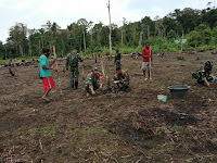 Dukung Program Ketahanan Pangan Babinsa Waris Tanam Padi Gogo Bersama Warga Binaan