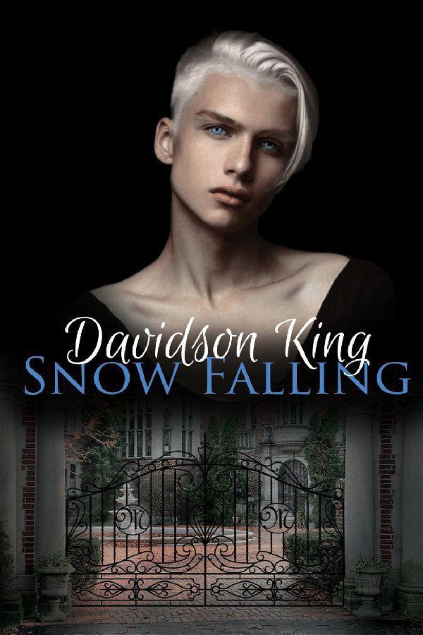 Snow Falling | Haven Heart #1 | Davidson King