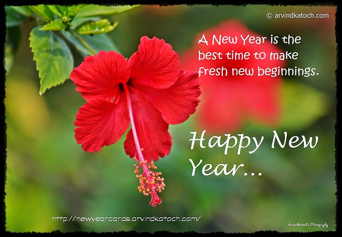 New Year, Fresh Beginning, Best Time, Happy New Year, Card, Popular,