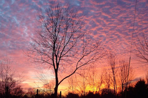 Del crepúsculo al amanecer (10 postales con el sol)