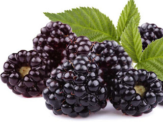 boysenberry fruit images