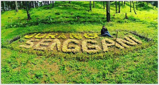 Buper Jurang Senggani;10 Top Destinasi Wisata Kabupaten Tulungagung