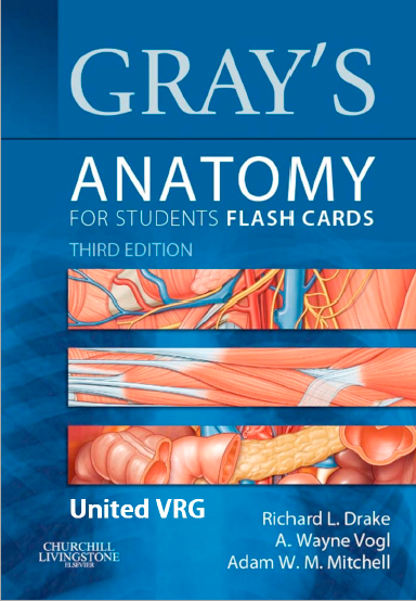 Gray's Anatomy for Students (Flash Cards) 3rd Edition
