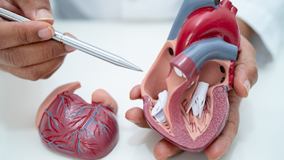 Cardiovascular Diseases