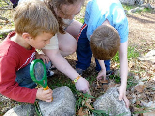 kids find insects under rock