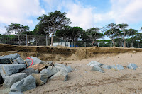 Sustraída la arena por el temporal en la Playa de S'Abanell-Campings 