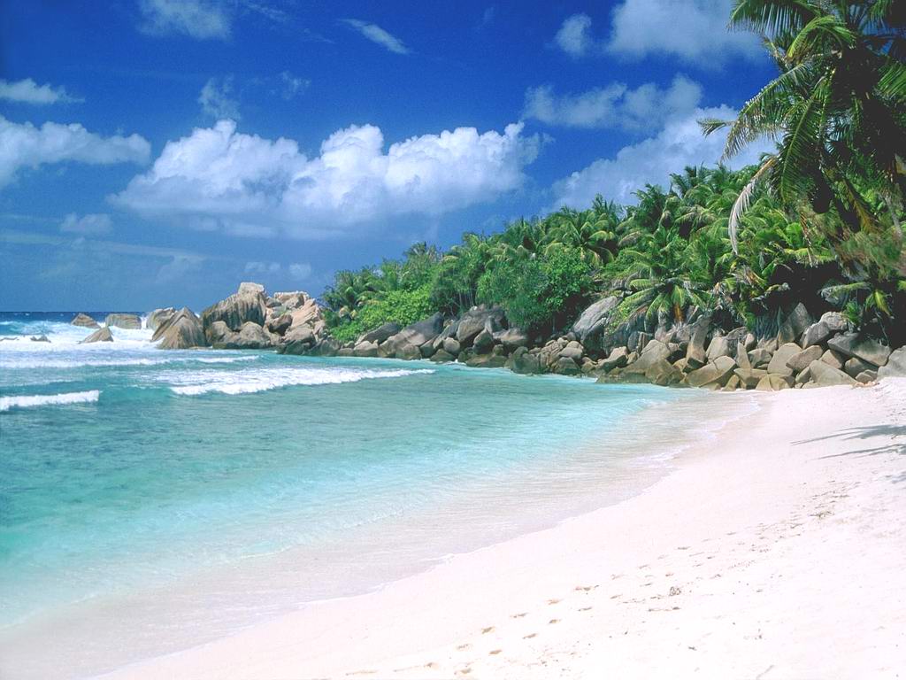 https://blogger.googleusercontent.com/img/b/R29vZ2xl/AVvXsEgW0hc4b7pPFsxJyu-Na1neVchUbBDaVMJcvgKjCIITztQsdVB3Q54AUkRgLgEaPbBNpiM90408lQ4baTXchZxbkW03dIww4KOD8VvSz4xDAKns0VGPdWyXZ1HF9vBF_JGX-4CWWmDkp08/s1600/Beautifull+Goa+Beach+Wallpaper.jpg