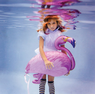 Underwater Photography (21) 12