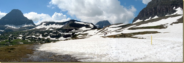 2010-07-28 -1- MT, Glacier National Park - Hiking the Hidden Lake Trail 1020