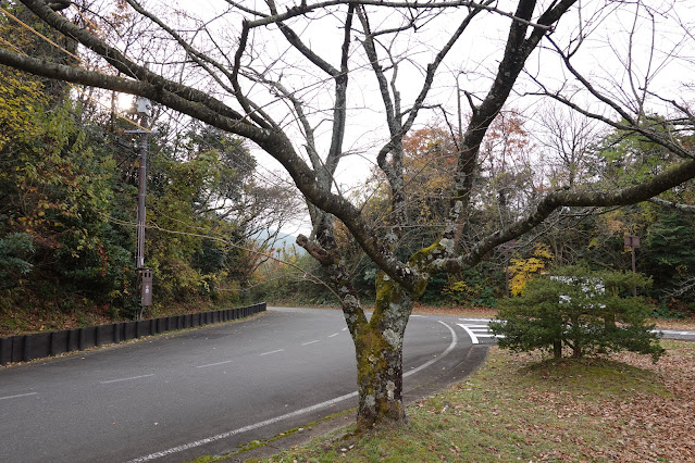 鳥取県西伯郡大山町富岡 むきばんだ史跡公園