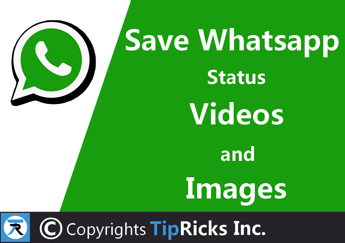 How To Download Or Save Whatsapp Status Video and Image To ...