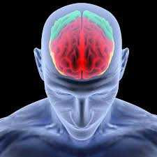 8 Biggest Brain Damaging Habits You Should Be Aware Of