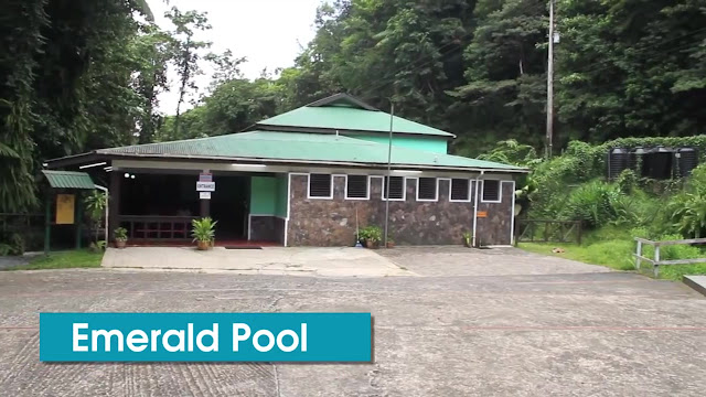 Emerald Pool Dominica