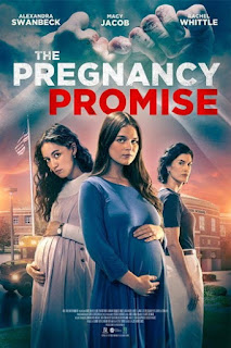 The Pregnancy Promise 2023 Hindi Dubbed (Voice Over) WEBRip 720p HD Hindi-Subs Online Stream