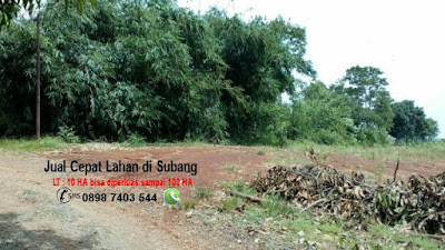 Jual Cepat Lahan Tanah di Subang