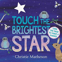 Touch the Brightest Star book cover with and owls, fireflies, and a dear with a nighttime background