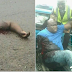 HEARTBREAKING : Man Loses Arm In Ghastly Motor Accident [Photo]
Along Lagos-Ibadan Expressway ...Full Story Here 👇 