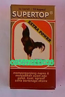 doping obat ayam bangkok, obat doping ayam adu, obat doping ayam sabung, doping ayam philipina, doping ayam puyuh, doping ayam pilifin