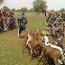 miijo men