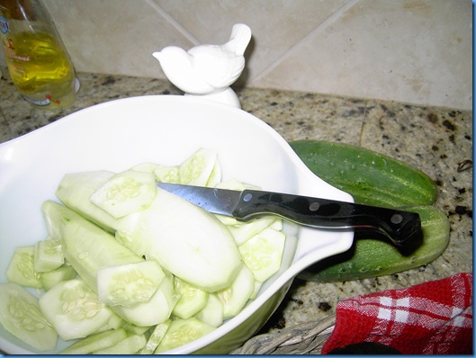 Cukes and garden 005
