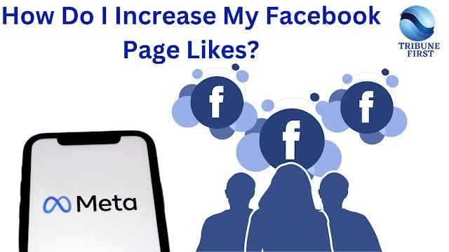 How Do I Increase My Facebook Page Likes?