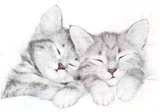 Desenhos Para Colori gatos de estimação desenhar