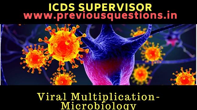 <img src =”http://Viral Multiplication-microbiology” alt=”Viral Multiplication-microbiology|ICDS Supervisor Exam Kerala PSC”/>