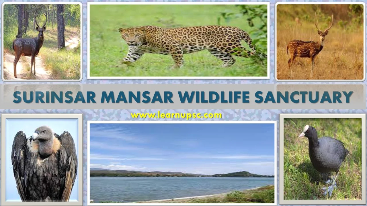 Surinsar Mansar Wildlife Sanctuary