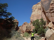 Epic Summer Adventure: Capitol Reef National Park (national park adventure june )