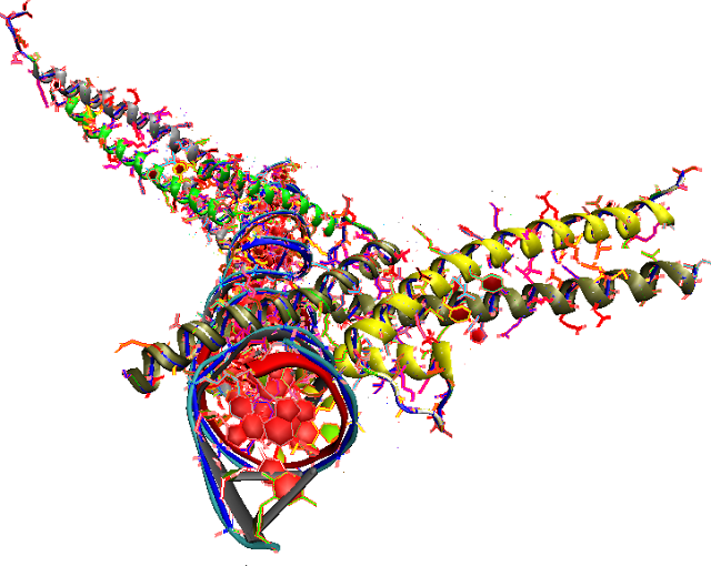 1AM9 DNA: PERSPECTIVES ON DNA RECOGNITION AND IMPLICATIONS FOR TRANSCRIPTIONAL ACTIVATION